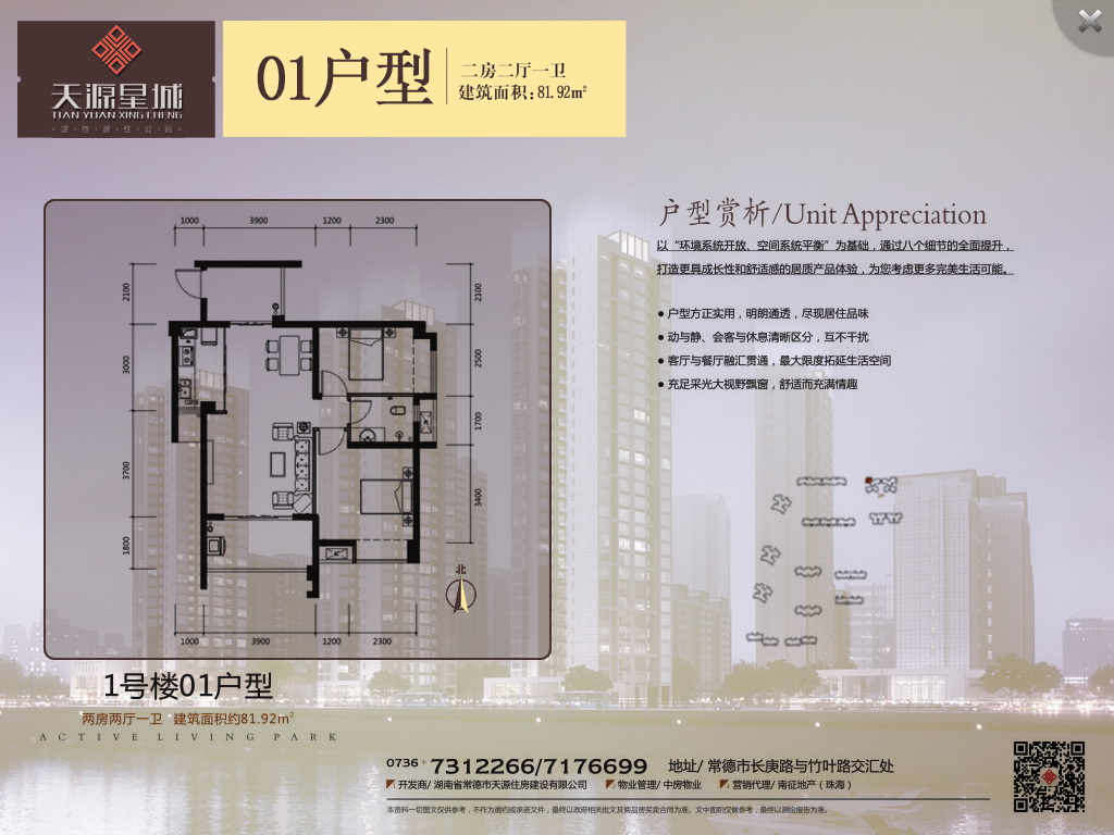 天源星城ipad在线购房系统，常德网站建设，常德网站开发，常德网站设计，常德微信小程序开发，常德在线选房系统-项目规划