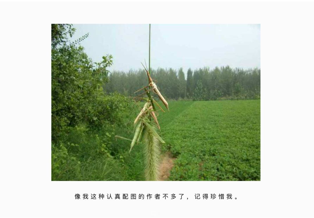 常德网站公司-万讯互动-设计师的职责