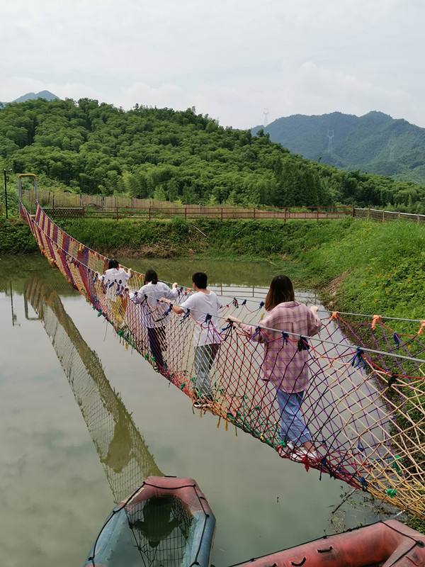 常德网站建设，常德网络公司