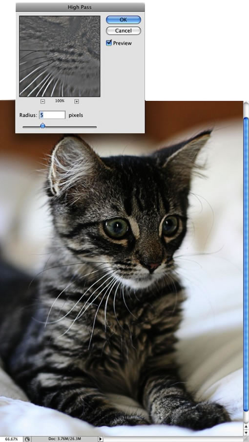 Photoshop教程:三步快速提高照片清晰度-常德网站建设,常德网站设计